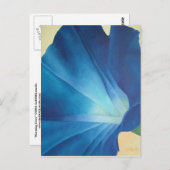 Morning Glory Postcard Postkarte (Vorne/Hinten)