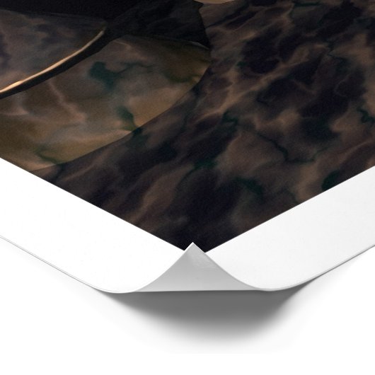 Morning Glory Poster (Ecke)