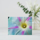 Morning Glory Postkarte (Stehend Vorderseite)