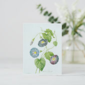 Morning Glory Postkarte (Stehend Vorderseite)