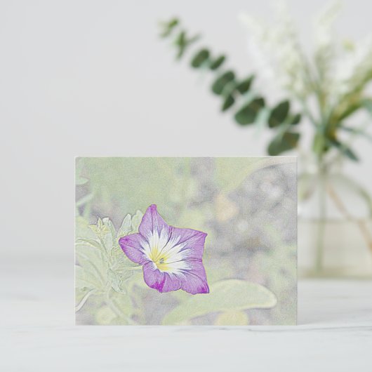 Morning Glory Postkarte (Stehend Vorderseite)