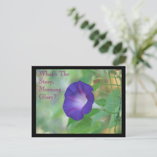 Morning Glory Postkarte (Stehend Vorderseite)