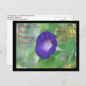 Morning Glory Postkarte (Vorne/Hinten)