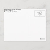 Morning Glory Postkarte (Rückseite)