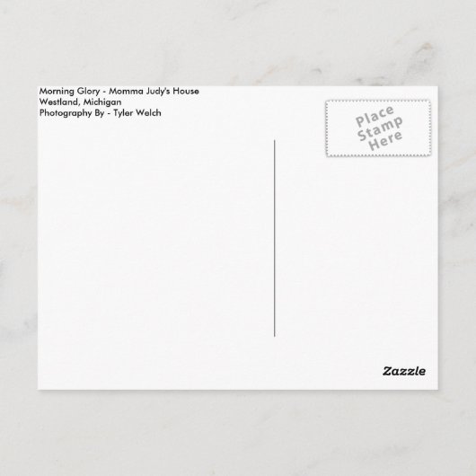 Morning Glory Postkarte (Rückseite)