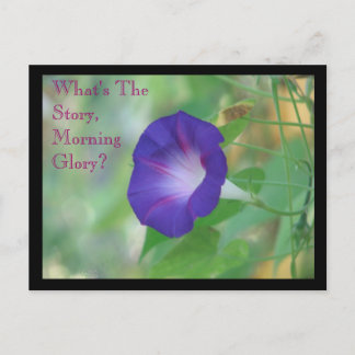 Morning Glory Postkarte
