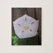 Morning Glory Puzzle (Vertikal)