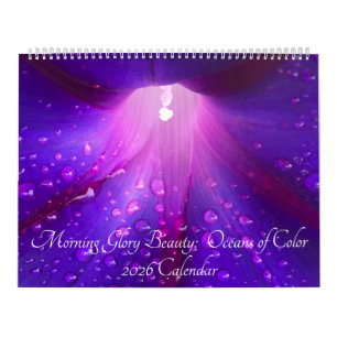 Morning Glory Schönheit: Ozeane der Farbe 2026 Kalender