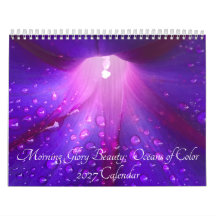 Morning Glory Schönheit: Ozeane der Farbe 2027