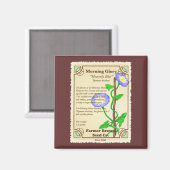 Morning Glory Seed Packet Magnet (Vorderseite/Rückseite)
