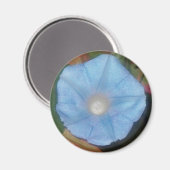 Morning Glory Star Magnet (Vorderseite/Rückseite)