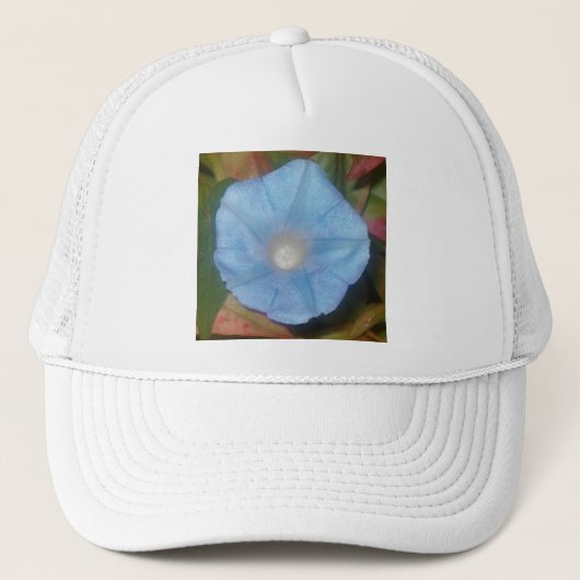 Morning Glory Star Truckerkappe (Vorderseite)