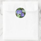 Morning Glory Stickers (Tasche)
