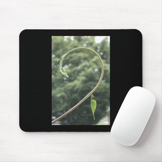 Morning Glory Tendril and Leaf Mousepad (Mit Mouse)