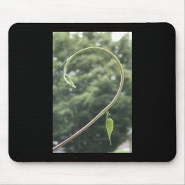 Morning Glory Tendril and Leaf Mousepad
