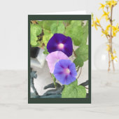 Morning Glory Trio Blank Karte (Gelbe Blume)