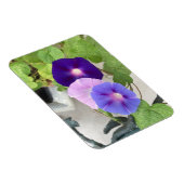 Morning Glory Trio Magnet (Rechte Seite)