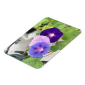 Morning Glory Trio Magnet (Linke Seite)