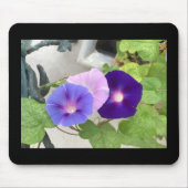 Morning Glory Trio Mousepad (Vorne)