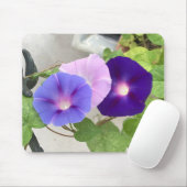 Morning Glory Trio Nahaufnahme Mousepad (Mit Mouse)