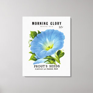 Morning Glory Vintag Seed Packet Leinwanddruck