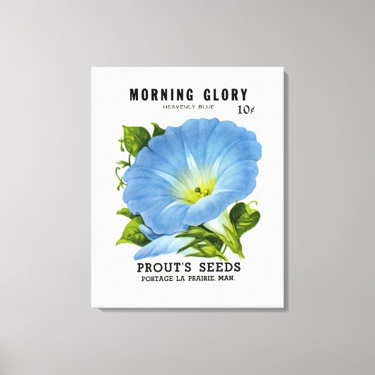 Morning Glory Vintag Seed Packet Leinwanddruck (Vorderseite)