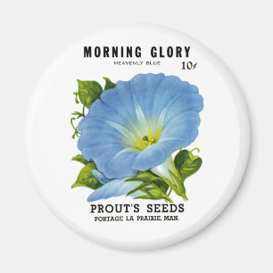 Morning Glory Vintag Seed Packet Magnet
