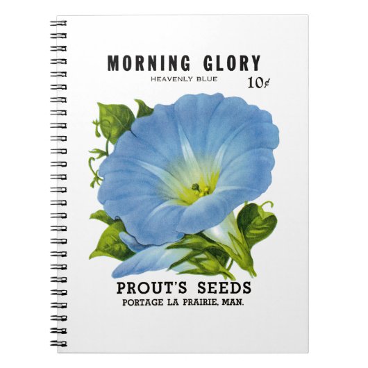 Morning Glory Vintag Seed Packet Notizblock (Vorderseite)