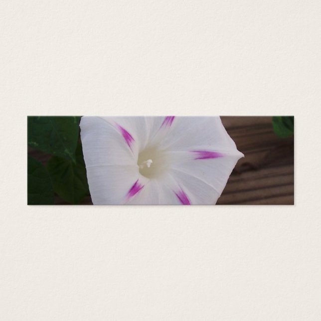 Morning Glory White Lesezeichen (Vorderseite)