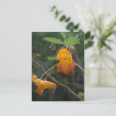"Morning Glow" Orange Jewel Postkarte (Stehend Vorderseite)