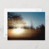 Morning Glow Postkarte (Vorne/Hinten)