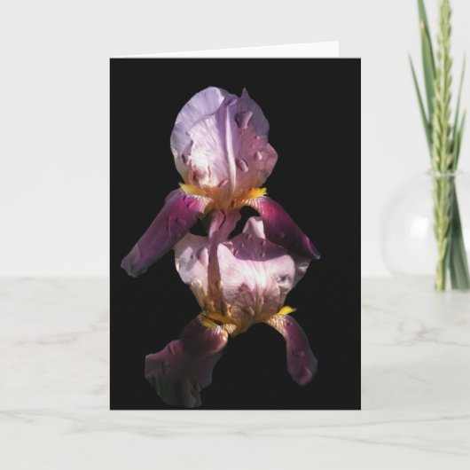 Morning Iris Karte (Vorderseite)