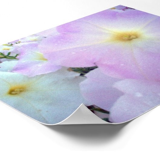 Morning Kisses Poster (Ecke)