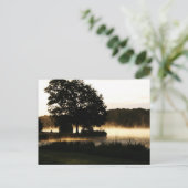 Morning Lake Scene pca Postkarte (Stehend Vorderseite)