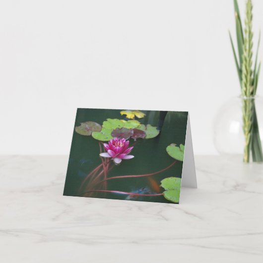 Morning Lily Karte (Vorderseite)