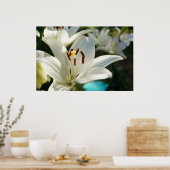 Morning Lily Poster (Küche)