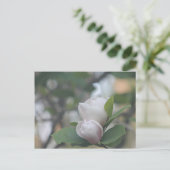 Morning Magnolia Postkarte (Stehend Vorderseite)