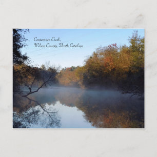 Morning Mist - Contentnea Creek Postkarte