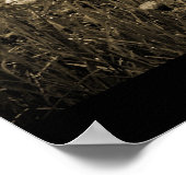 Morning Mist Dandelions Poster (Ecke)