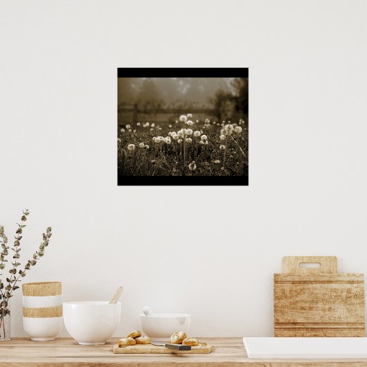 Morning Mist Dandelions Poster (Küche)