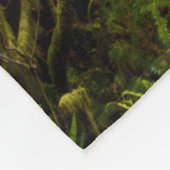 Morning Mist on Rhododendron Fleecedecke (Ecke)