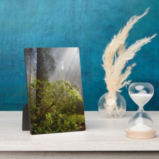 Morning Mist on Rhododendron Fotoplatte (Seite)