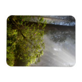 Morning Mist on Rhododendron Magnet (Horizontal)