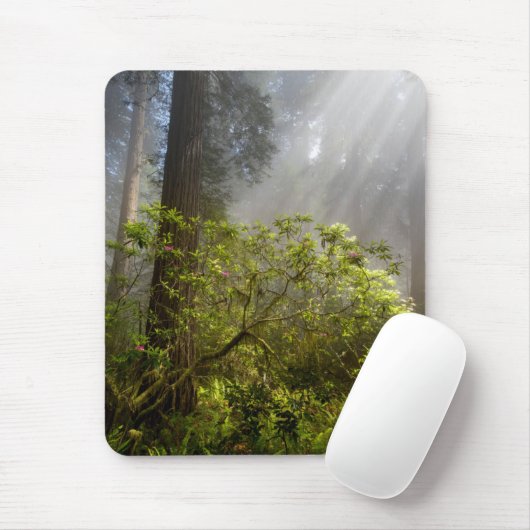 Morning Mist on Rhododendron Mousepad (Mit Mouse)