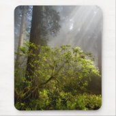 Morning Mist on Rhododendron Mousepad (Vorne)