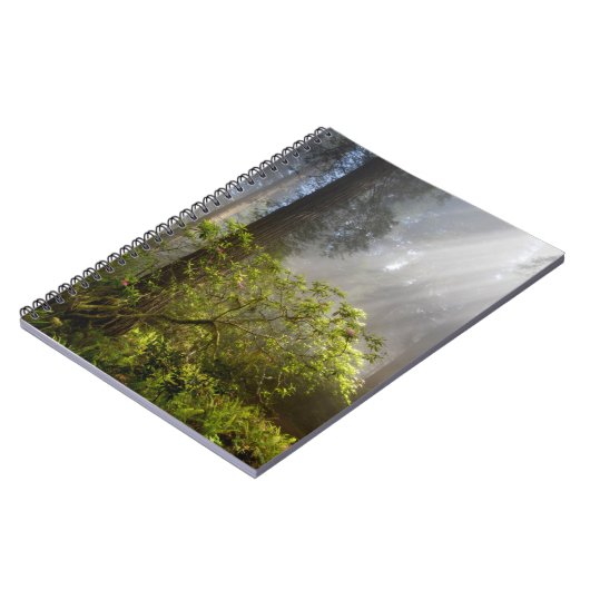 Morning Mist on Rhododendron Notizblock (Linke Seite)