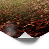 Morning Mist Poster (Ecke)