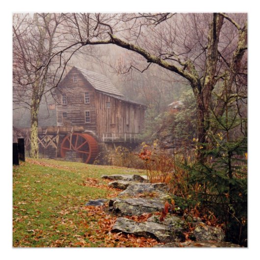 Morning Mist Poster (Vorderseite)