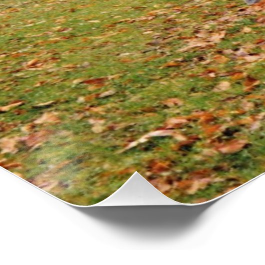 Morning Mist Poster (Ecke)