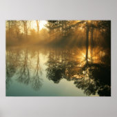 Morning Mist Poster (Vorne)